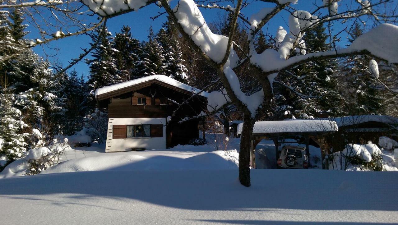 Ferienhaus Sinz ชวาร์สเซนแบร์ก อิม เบรเกนซ์แอร์วัลด์ ภายนอก รูปภาพ